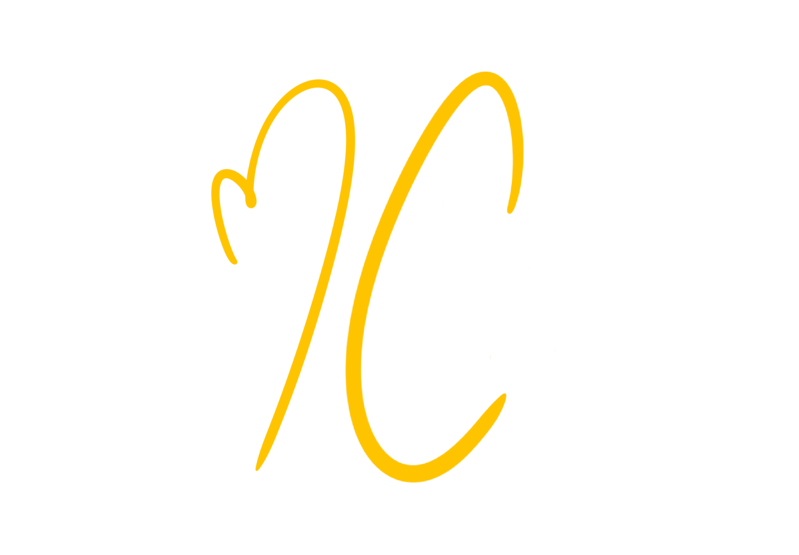 Cette image représente le logo VCo